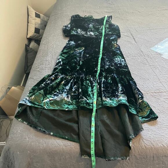 Eva Franco Green Velvet Parlor Rose Velvet
Sleeveless High Low Brie Dress 6 - Picture 8 of 10